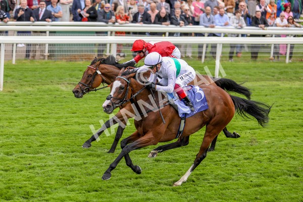 180523-Race 2-Free Wind-7295 - Race 2 2.25pm Al Basti Equiworld Dubai Middleton Fillies' Stakes