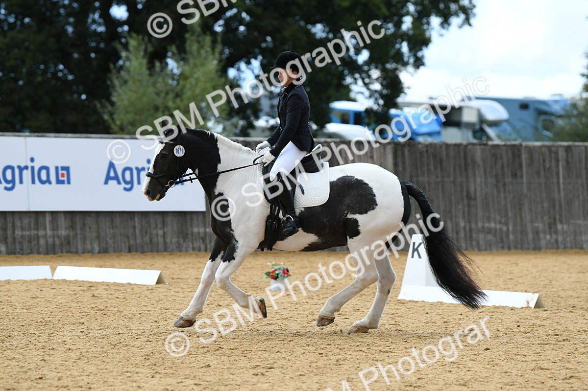 SBM_07331 - D15 Small Tour Championship Novice 24
