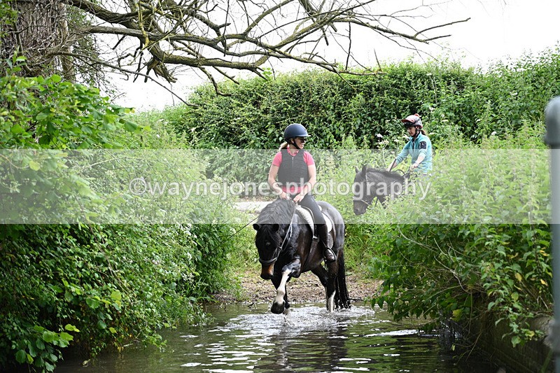 WJ7_2145 - Camera 2 Water Crossing