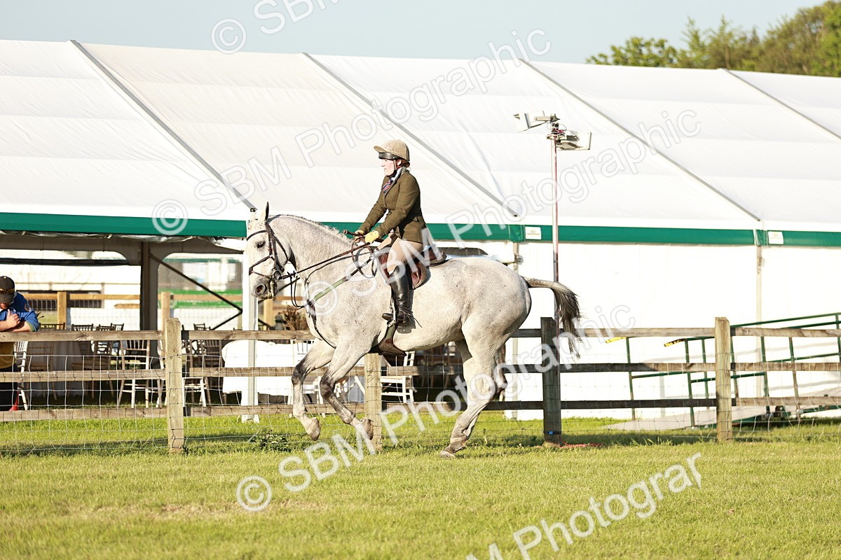 SBM_20482 - Class 117-119 - Sport Horse Working Hunter