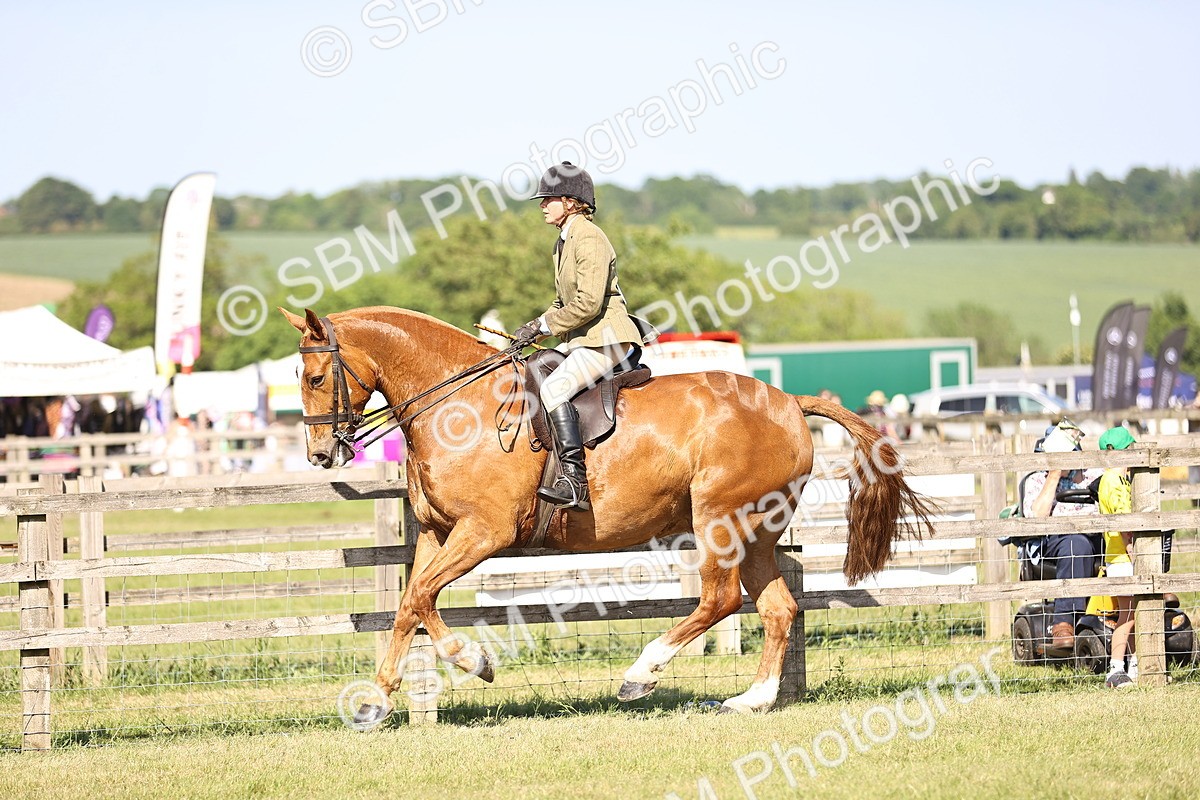 SBM_19645 - Class 87-88 - RIHS BSHA Riding Horses