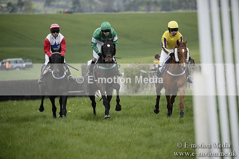 PtP 170417 7 - Old Berks Point-to-Point Lockinge 17/04/17
