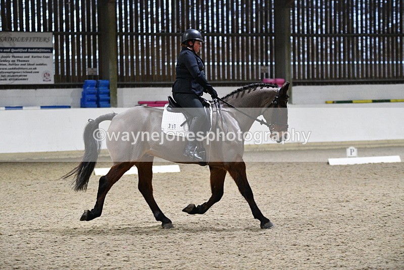 WJ5_0732 - Time 15:31 to 15:50