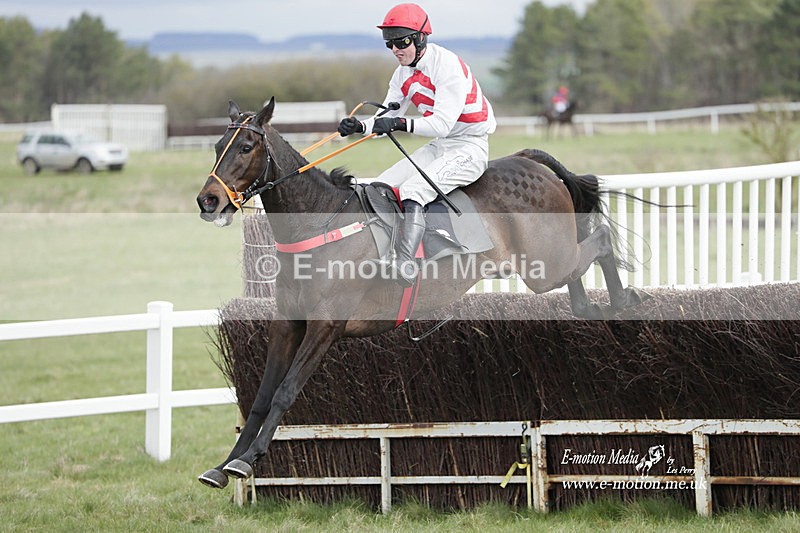 PtP 260323 0402 - New Forest Hounds Point-to-Point Larkhill 26/03/23