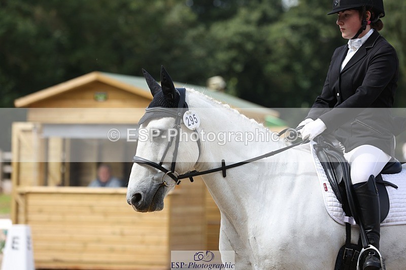 230812-113328-03795 - Cls 5 Novice Bronze 11.15 to 12.50 break