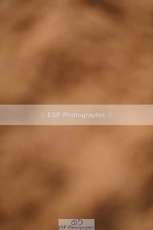 240526A-091016-07017 - Cls 30 Snr 1.20m Open