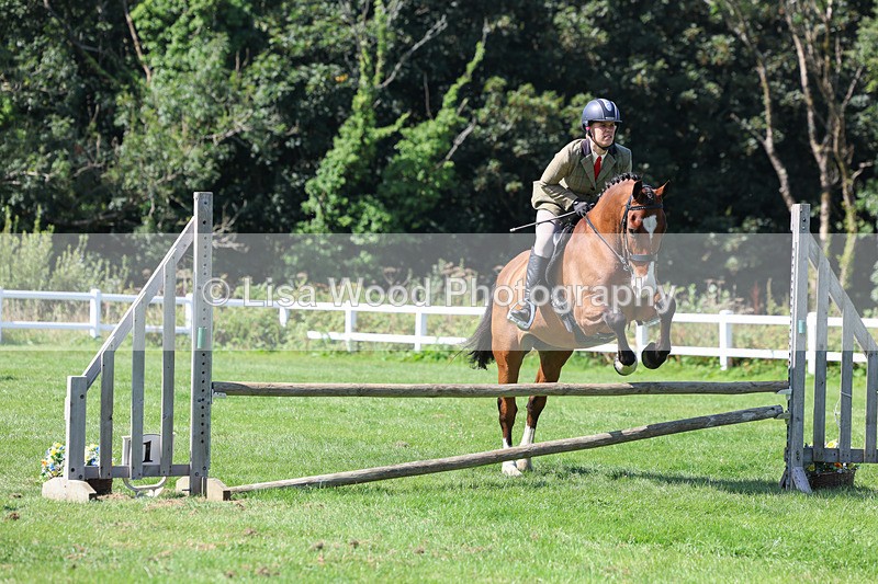 3E7A8539 - Class 5: Working Show Horse