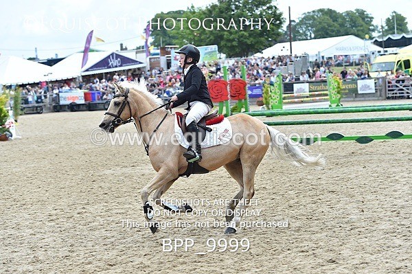 BPP_9999 - RHS 2019 Selection - *Just some random spectator shots so Lucky Dip if you are there!