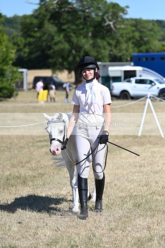 WJ7_1777 - Class 43 Best Six Legs (In hand)