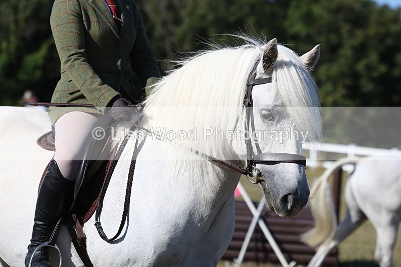 3E7A5382 - Class 2: Working Hunter 60cm