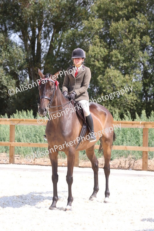 20260802-0739 - Class 8 - Best Riding Horse or Pony