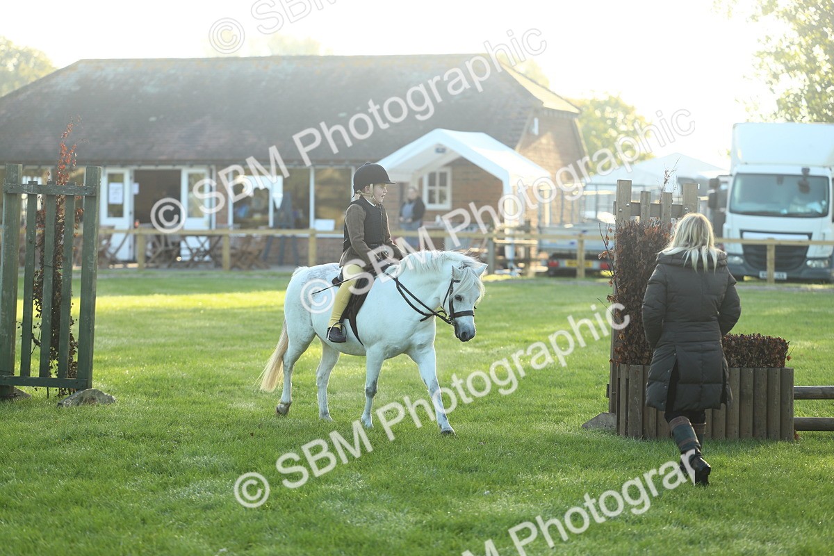 SBM_31805 - S28 - Nursery Stakes Working Hunter Pony