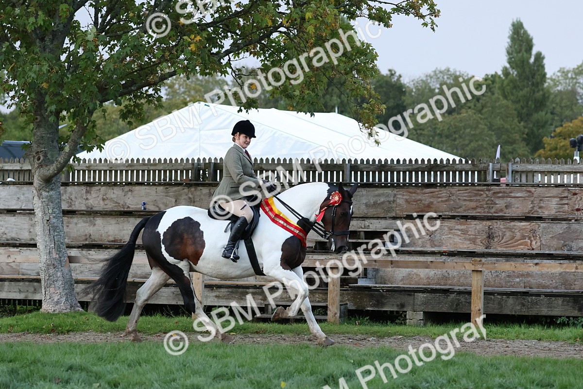 SBM_53430 - Super Supreme Championship (Sat)