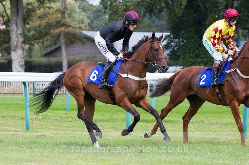 20140907Fontwell044 - Requests