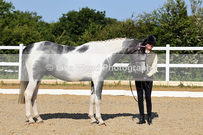1X9A0770 - Class 4: Youngstock 1, 2, 3 year old to exceed 153cm