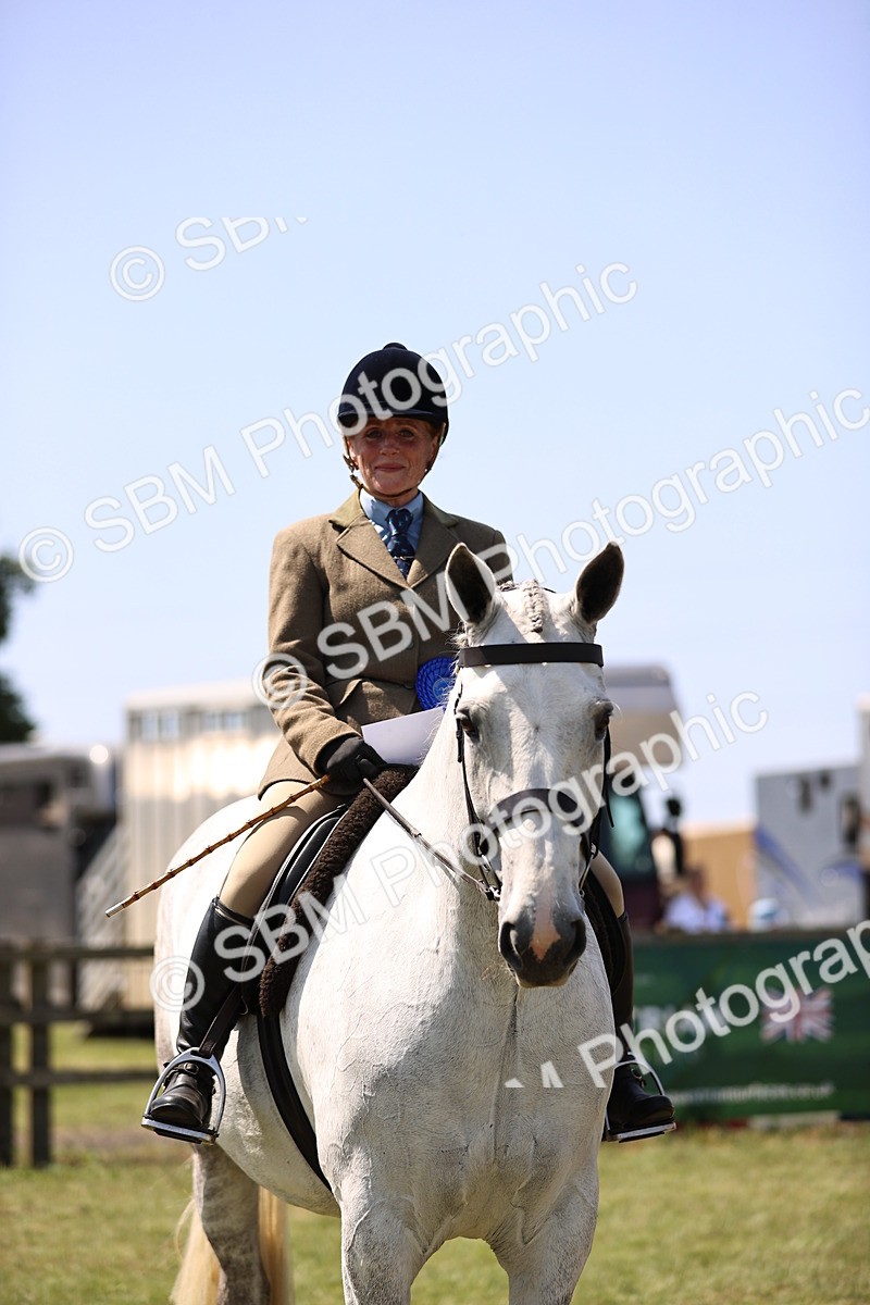 SBM_15237 - Class 79-80 - LIHS BSHA Rising Star Ridden Hunter