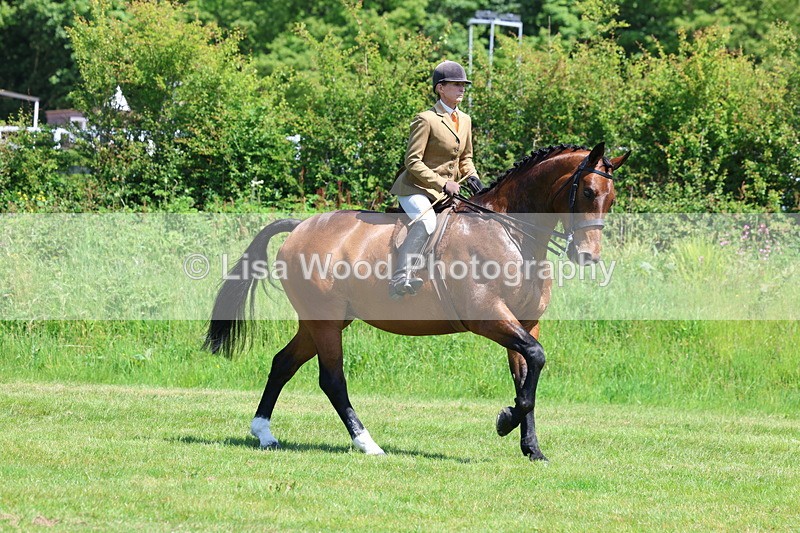 3E7A8288 - Class 13: Ridden Hunter