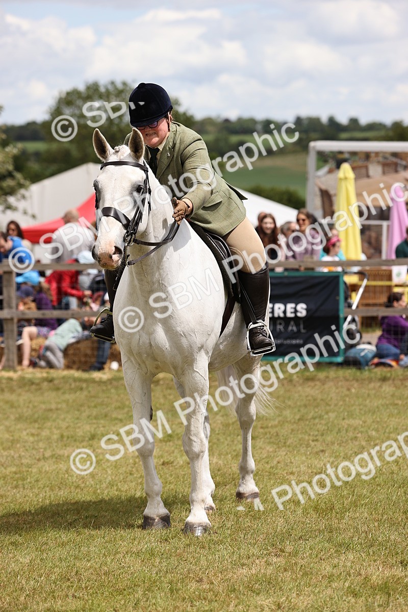SBM_14820 - Class 88-89 - LIHS BSHA Rising Star of Ridden Hunter Type