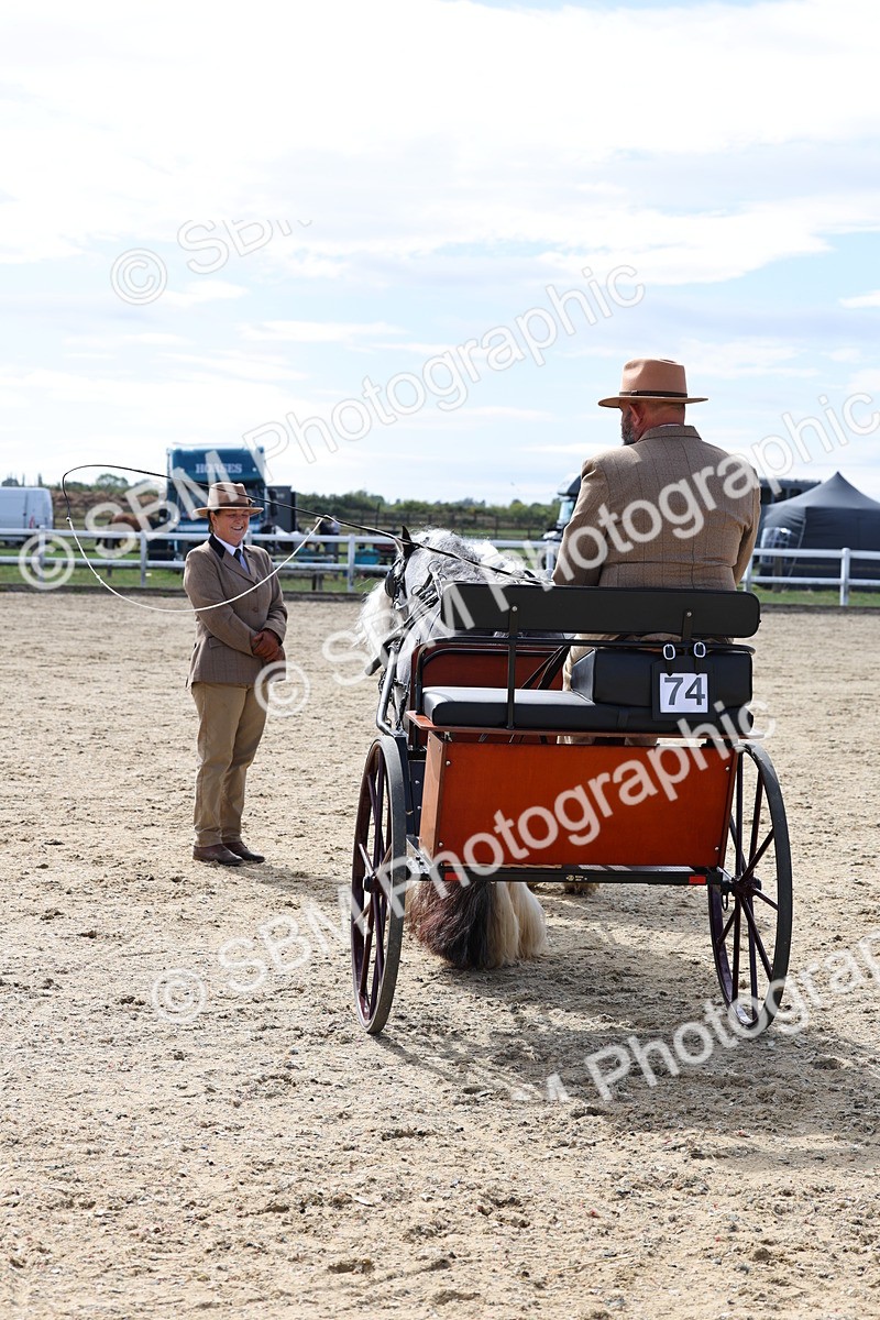 SBM_001211 - Class 16 - Pairs ,Multiples and Tandems