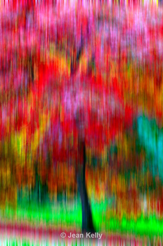 Tree - 9140 motion blur - Motion blur filter effect