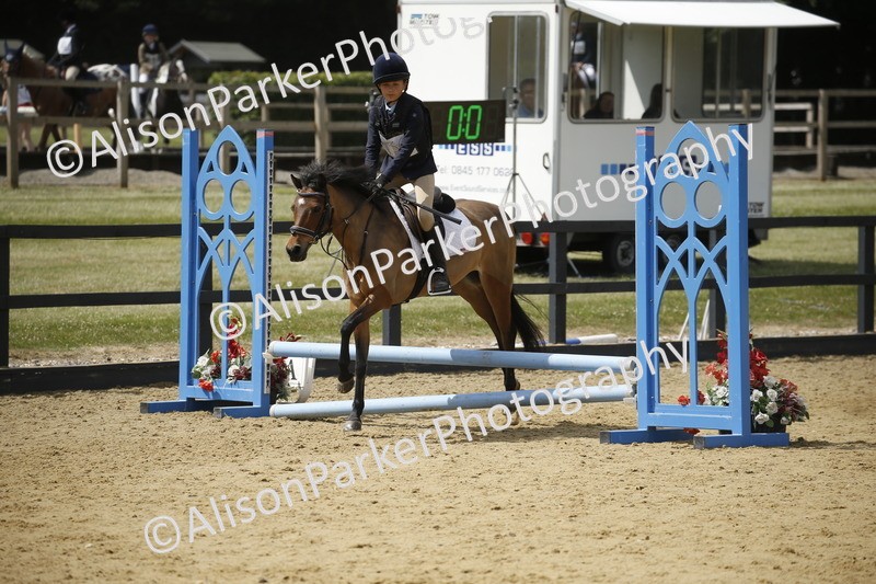 20250622-3955 - 50cm