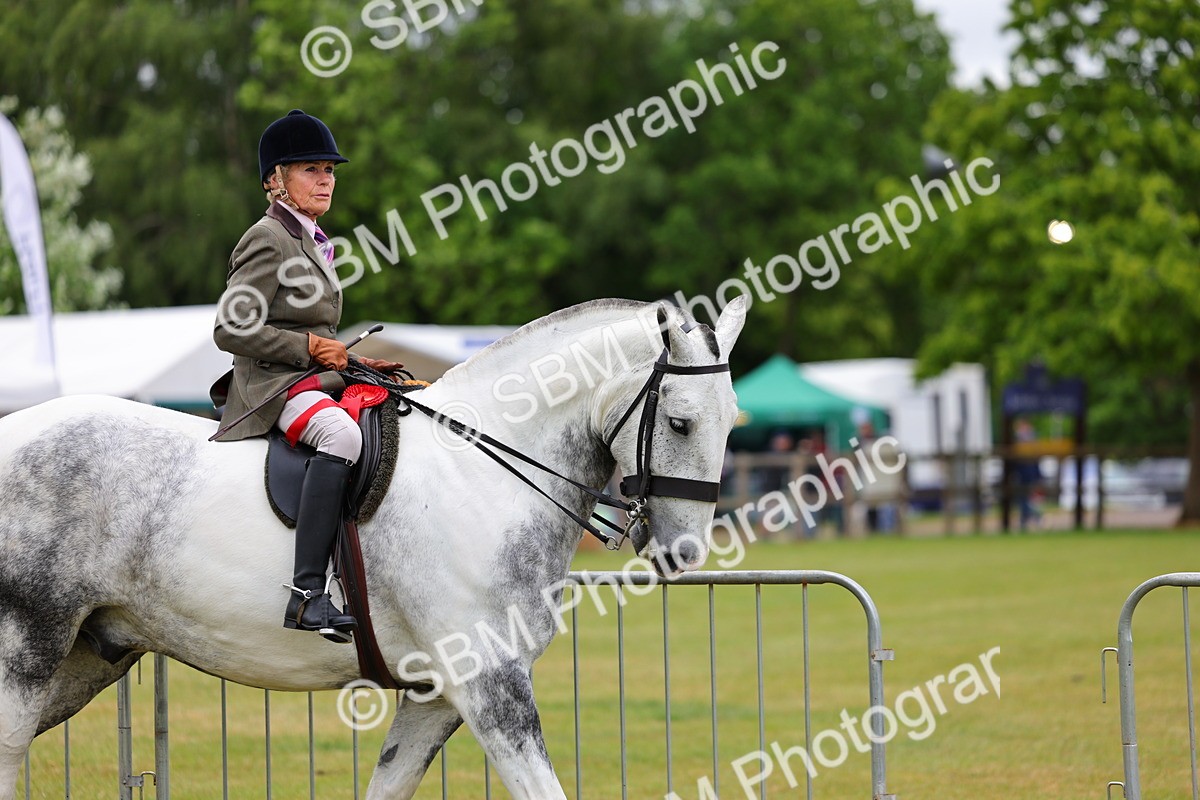SBM_02584 - Class 9-11 Side Saddle including LIHS Rising Star Ladies Show Horse