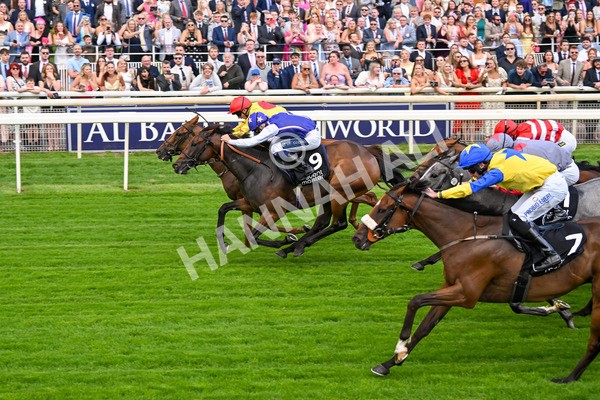 250725-Race 1-Pressures On - Quest For Fun-5365 - Race 1 5.30pm eventmasters.co.uk Handicap