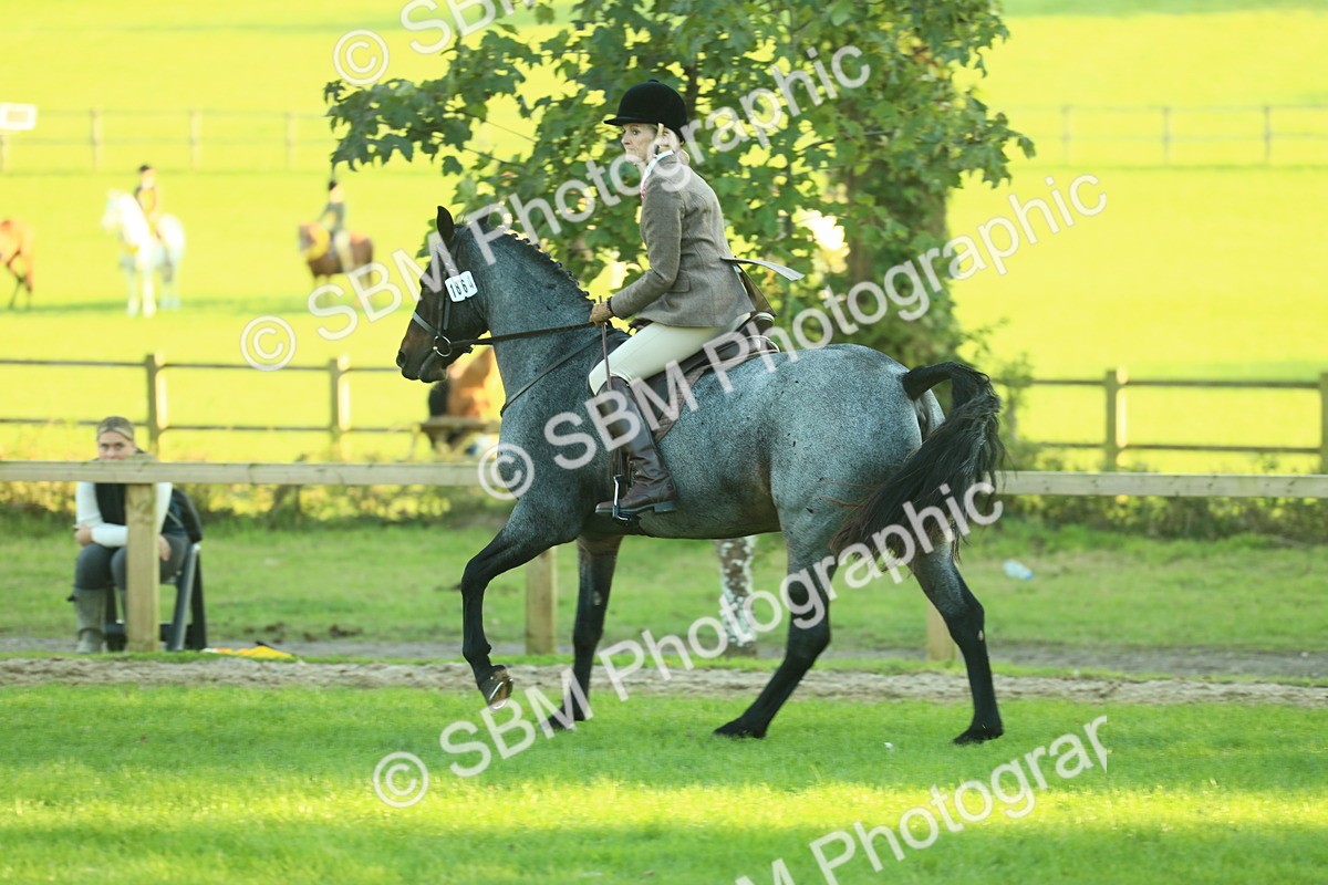 SBM_55631 - S14 - Riding Club Horse