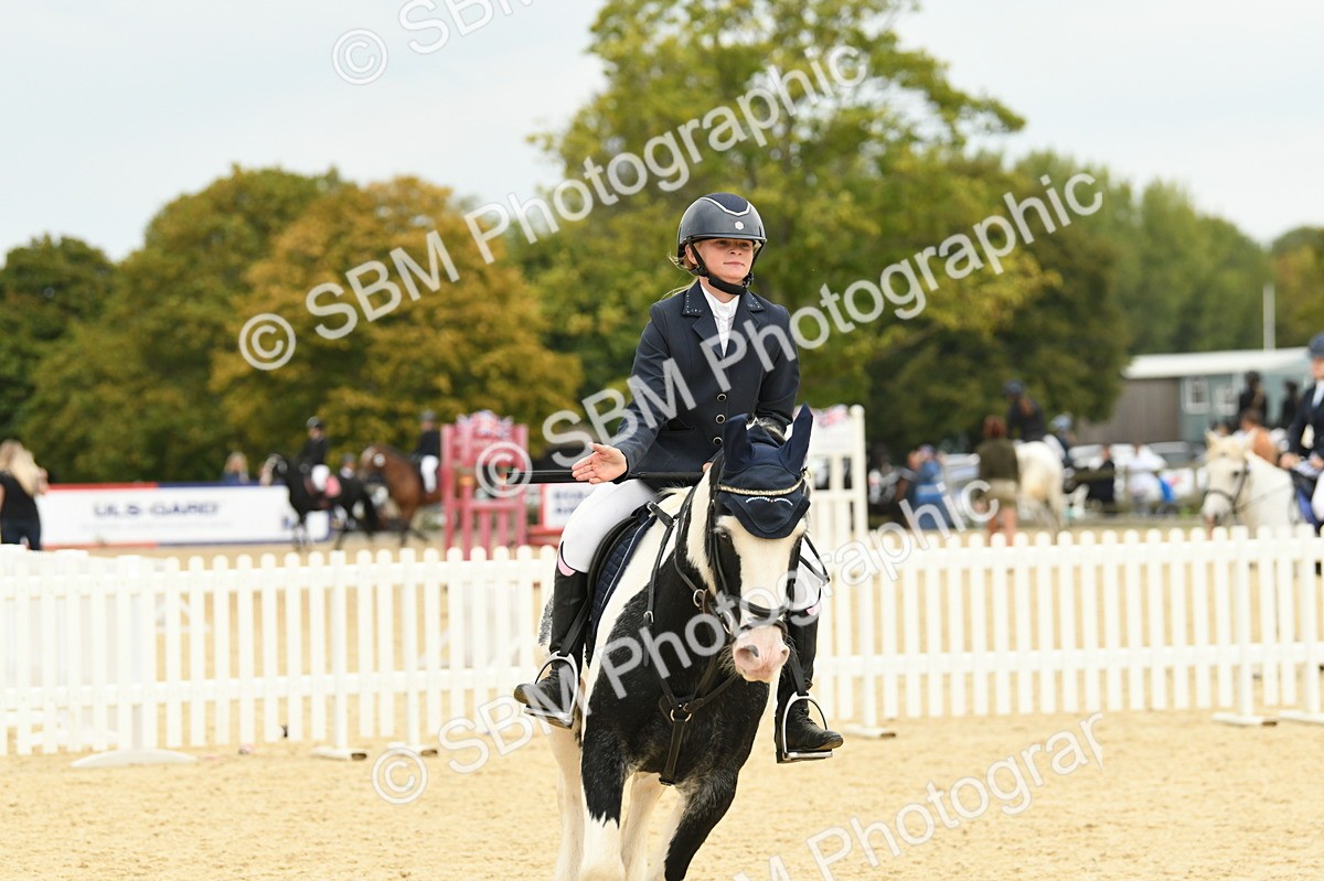 SBM_73150 - J16 - Junior Pony 75cm Championship