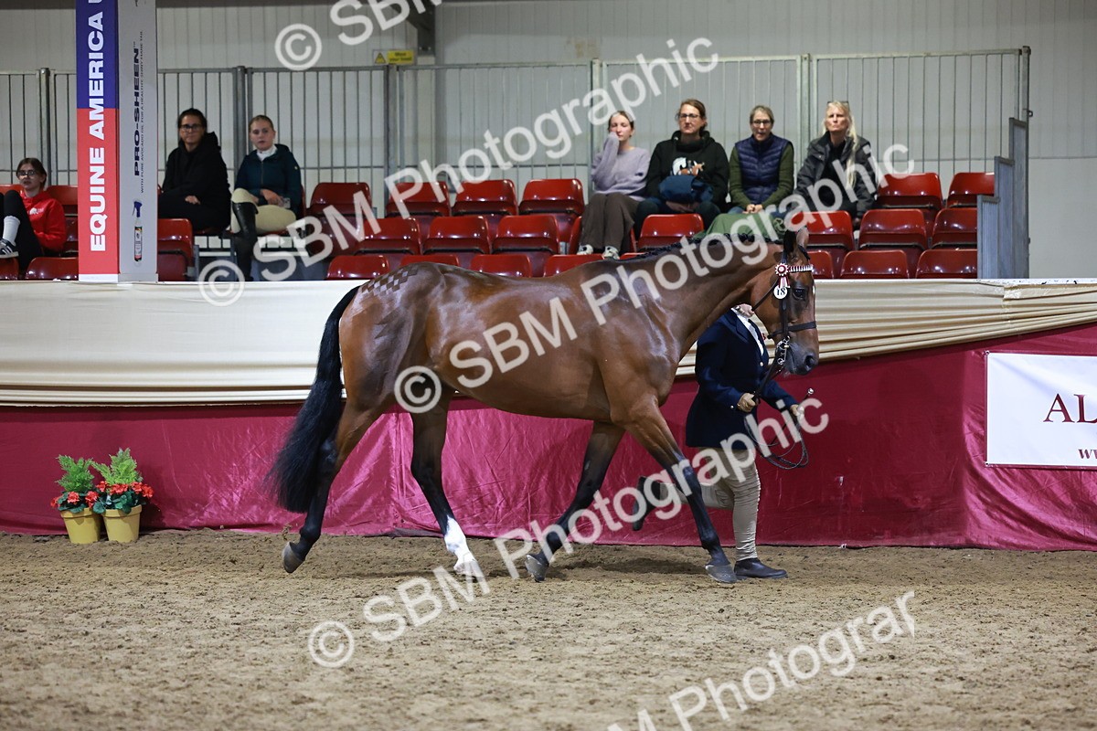 SBM_21522 - Class V - Champion of Champions