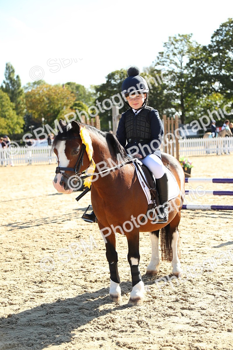 SBM_36039 - J5 - Junior Pony 50cm Championship
