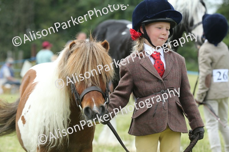 20260614-4290 - Class 18 - Best Junior Handler