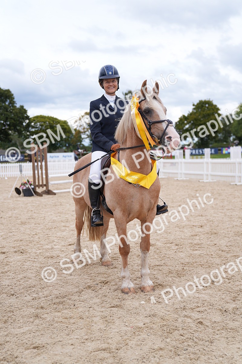 SBM_09334 - J36 Veteran 70cm Championship