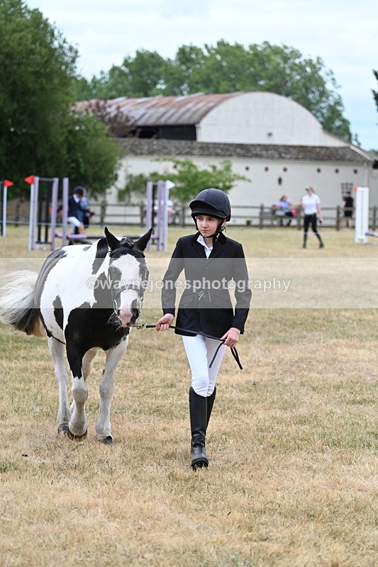 WJ7_1424 - Class 4 Prettiest Mare up to 14.2hh in hand