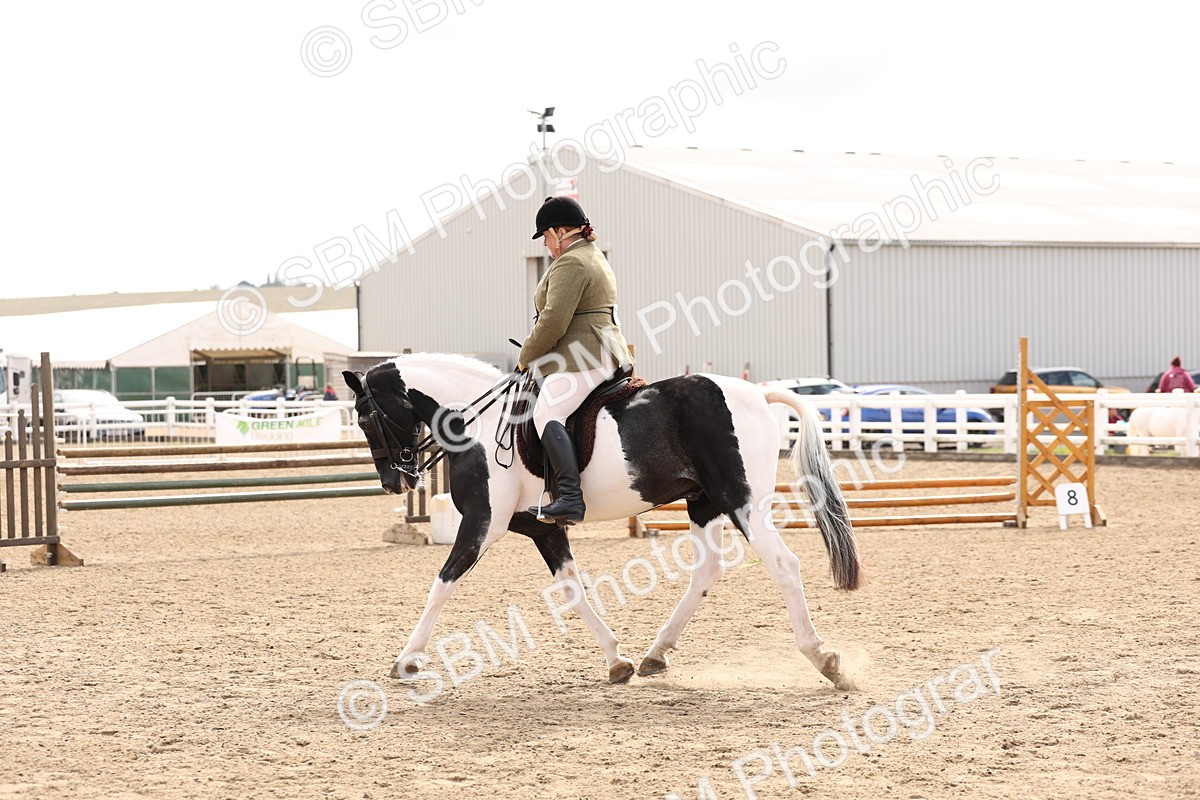 SBM_04283 - Class 54 - Riding Club Horse/Pony