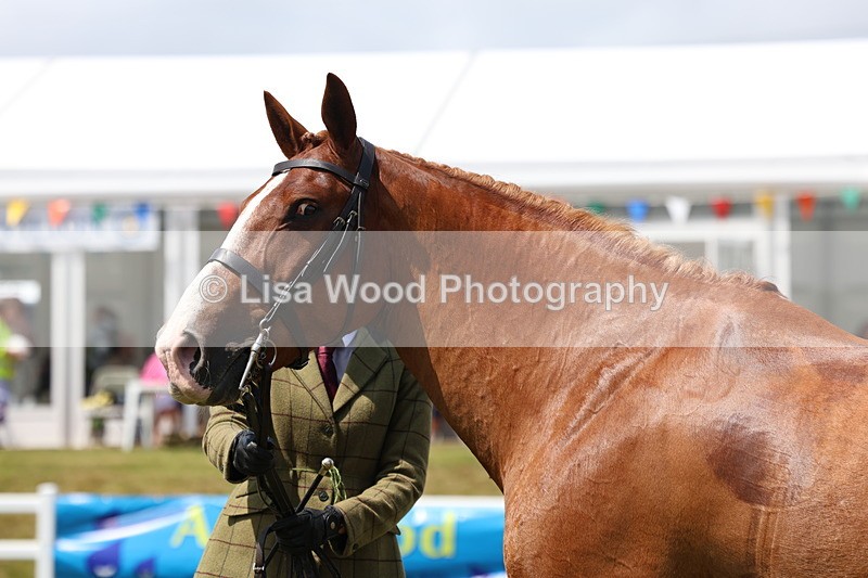 3E7A1663 - Class 9: Open Hunter