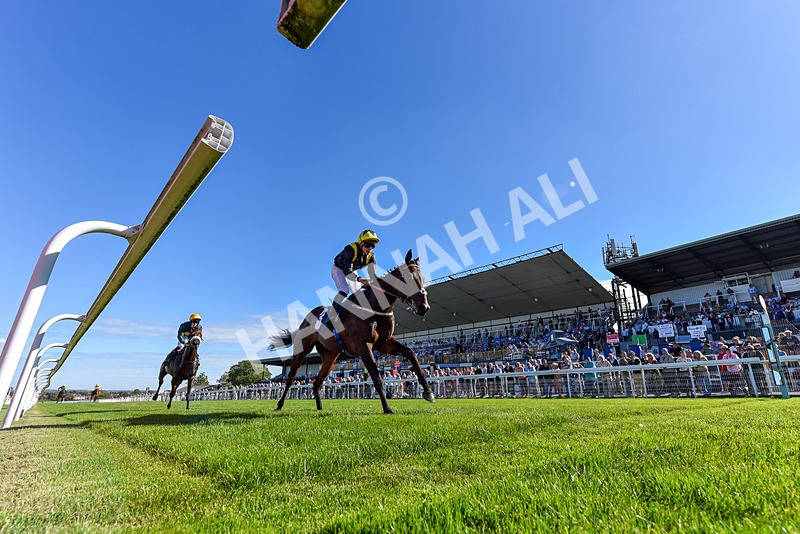 220926-Race 2-Bayraktar-7449 - Race 2 2.05pm Old Gravel Pits Lodges EBF Novice Stakes