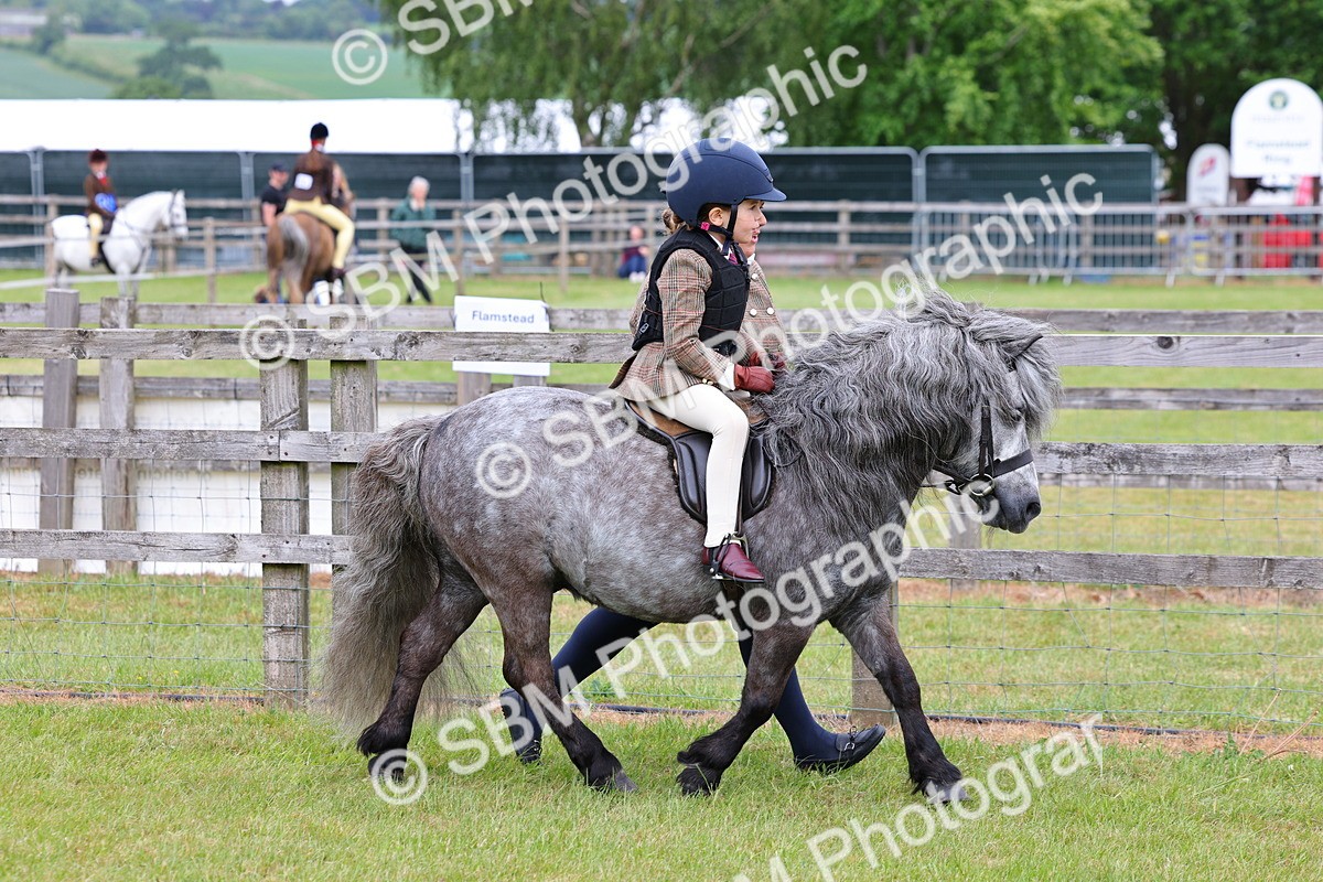 SBM_08110 - Class 42-43 - LIHS BSPS Heritage Working Sports Pony