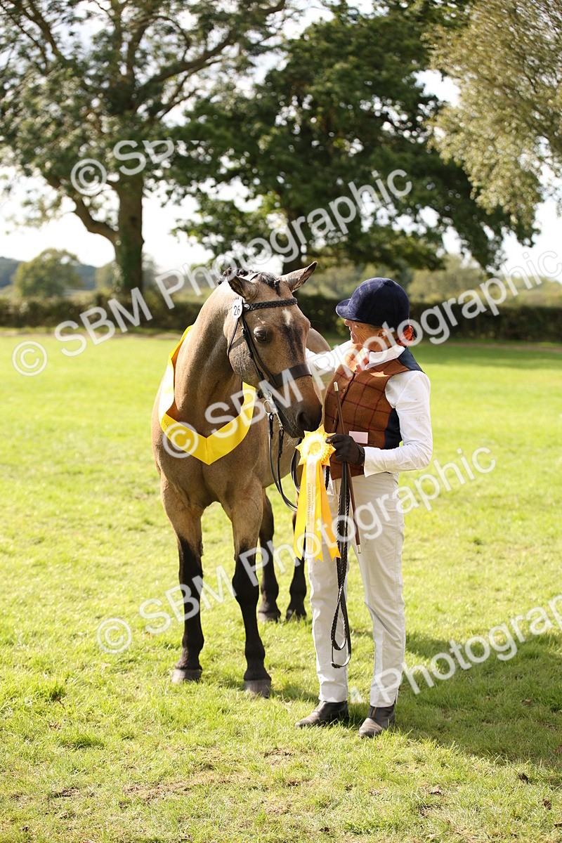 SBM_46417 - S25 - Mature Veteran In Hand