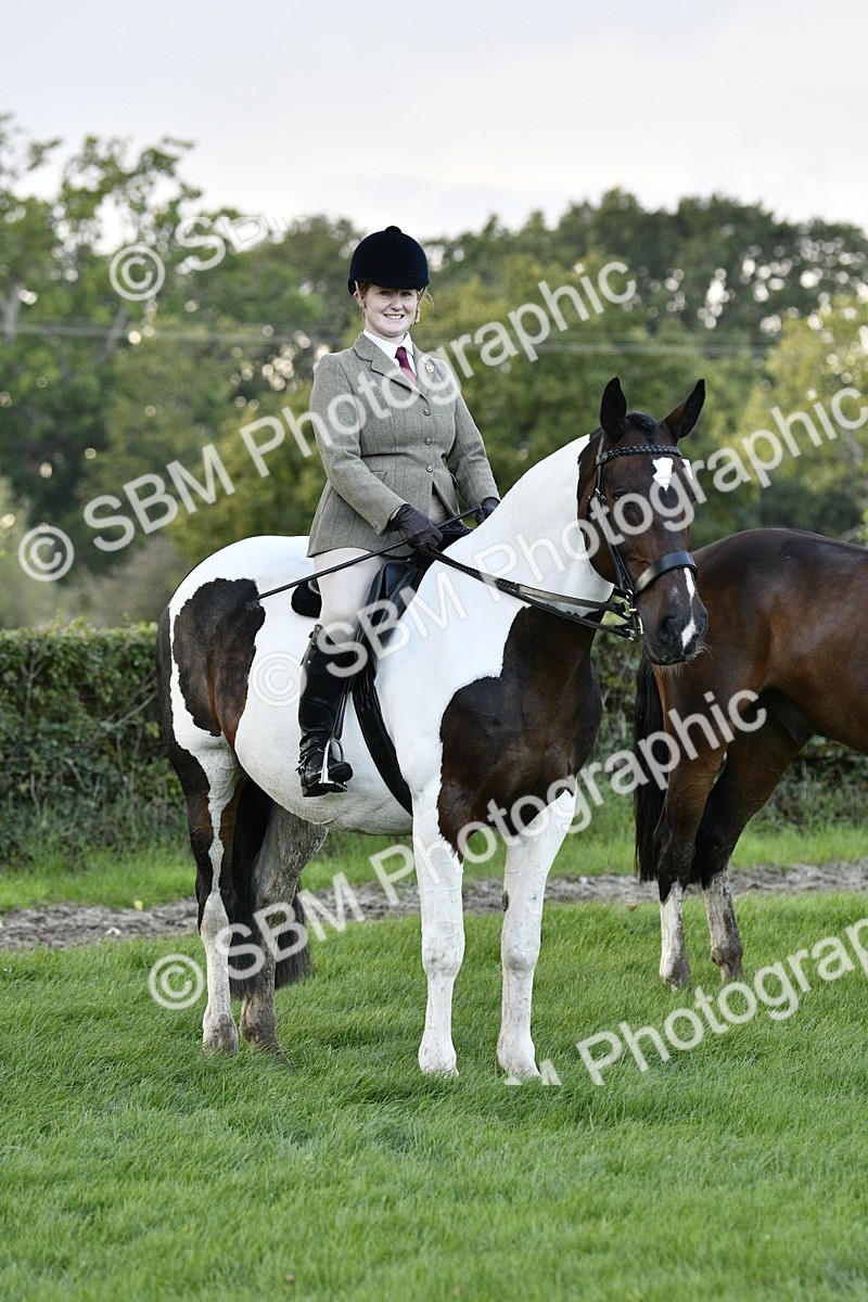 SBM_53601 - S14 - Riding Club Horse