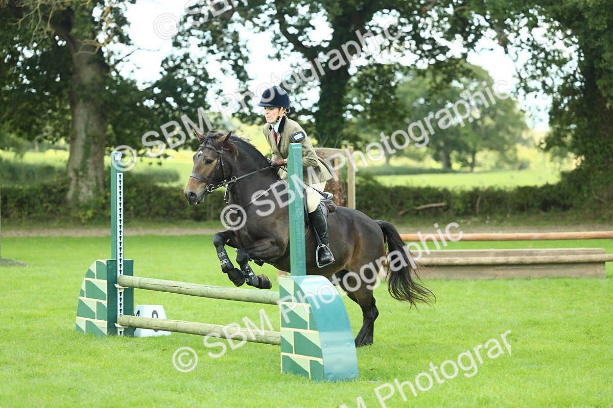 SBM_42910 - S30 - M&M Working hunter Pony