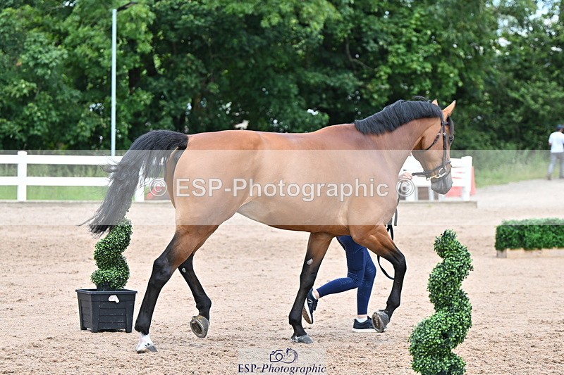 240718A-105322-01910 - Trot Up 2pm to 3pm - This folder is not in time order