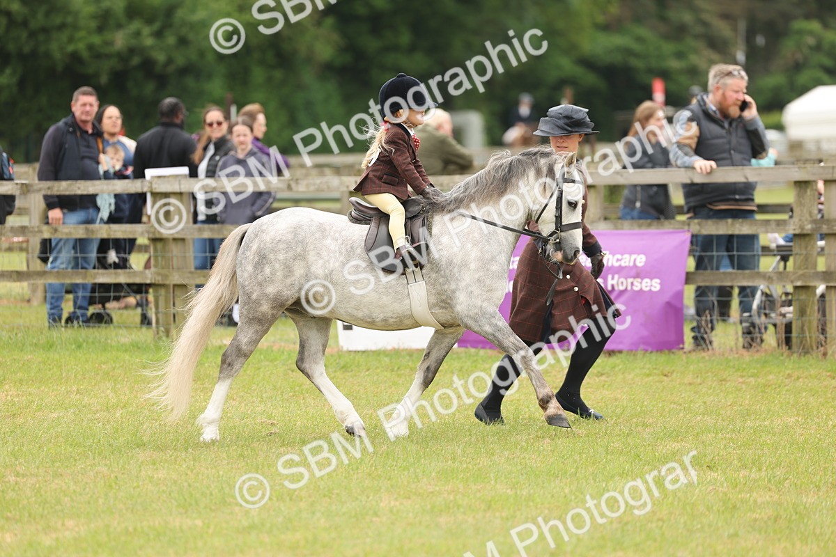 SBM_06669 - Class 74-75 - M&M Lead Rein and First Ridden Pony