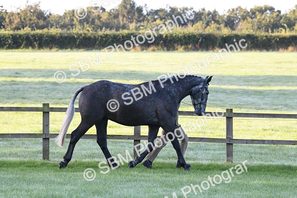 SBM_32494 - S15 - Condition & Turnout In Hand