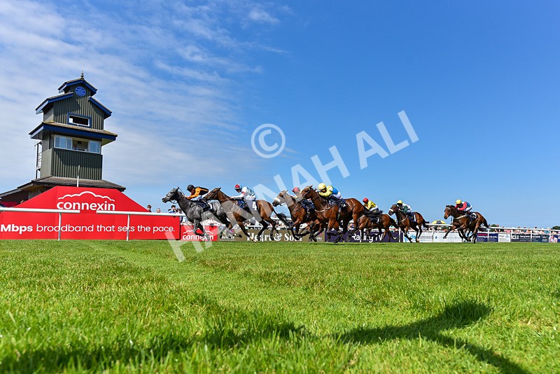 250624-Race 3-Island Native-9316 - Race 3