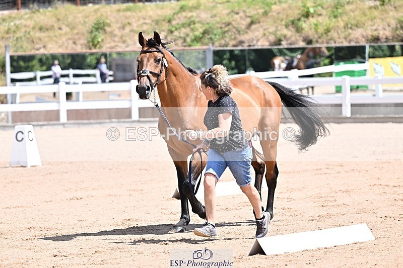 250716-123845-00084 - Trot Up 12.30 to 1.30