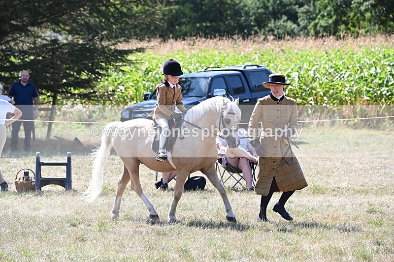 WJ6_8038 - Class 36 Lead Rein