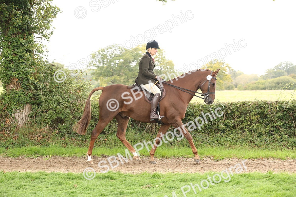 SBM_64159 - S65 - Riding Horse & Hack & Thoroughbred Ridden