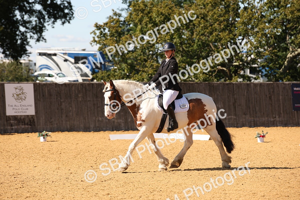 SBM_24191 - D5 - Small Tour Championship - Intro C