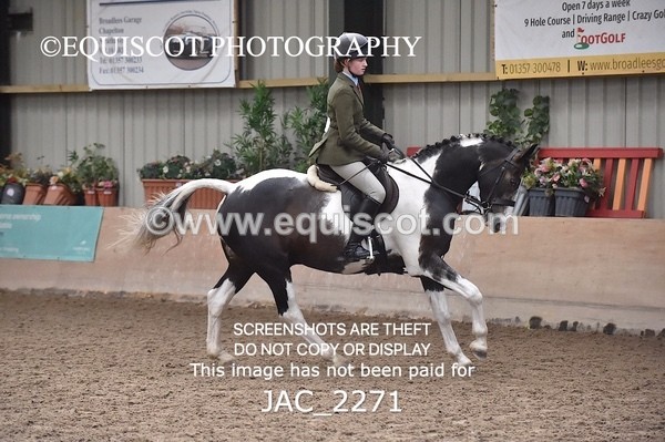 JAC_2271 - CLASS 2 Novice Working Hunter